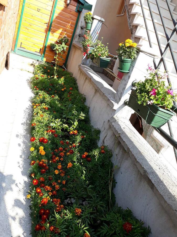 Vila Krismark Žabljak Extérieur photo